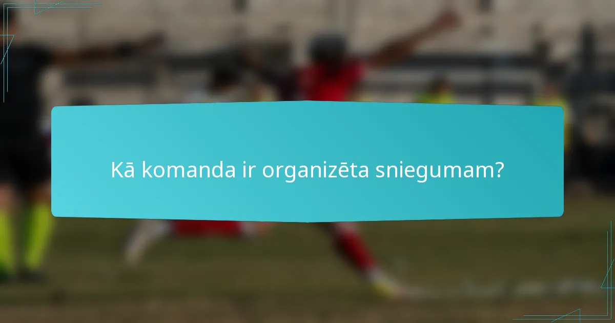 Kā komanda ir organizēta sniegumam?